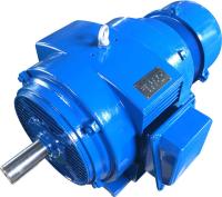 Электродвигатель 5АНК 315MВ6