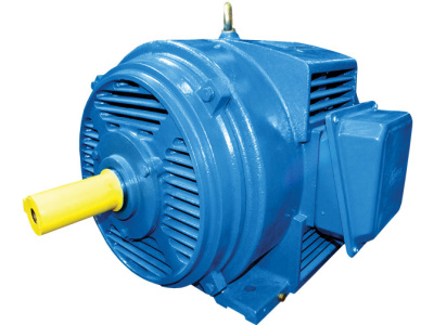 Электродвигатель 5АМН 250М4